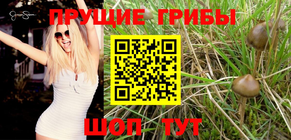 Галлюциногенные грибы ЛСД Донецк
